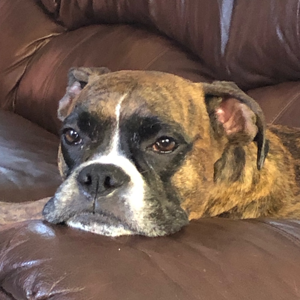 Meet your Posher, Arezu